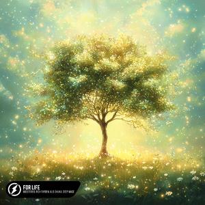 老师胸乳❌❌❌暴露网站
