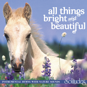 老师胸乳❌❌❌暴露网站
